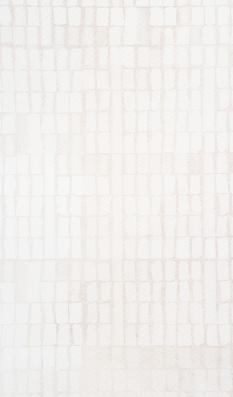 texture-procedure-expect